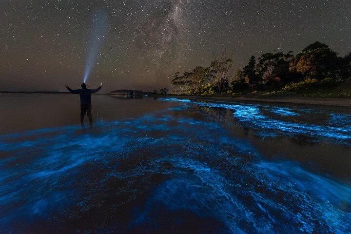 Florida Bioluminescent Paddleboard / Kayak Excursion  - Photo 1 of 7